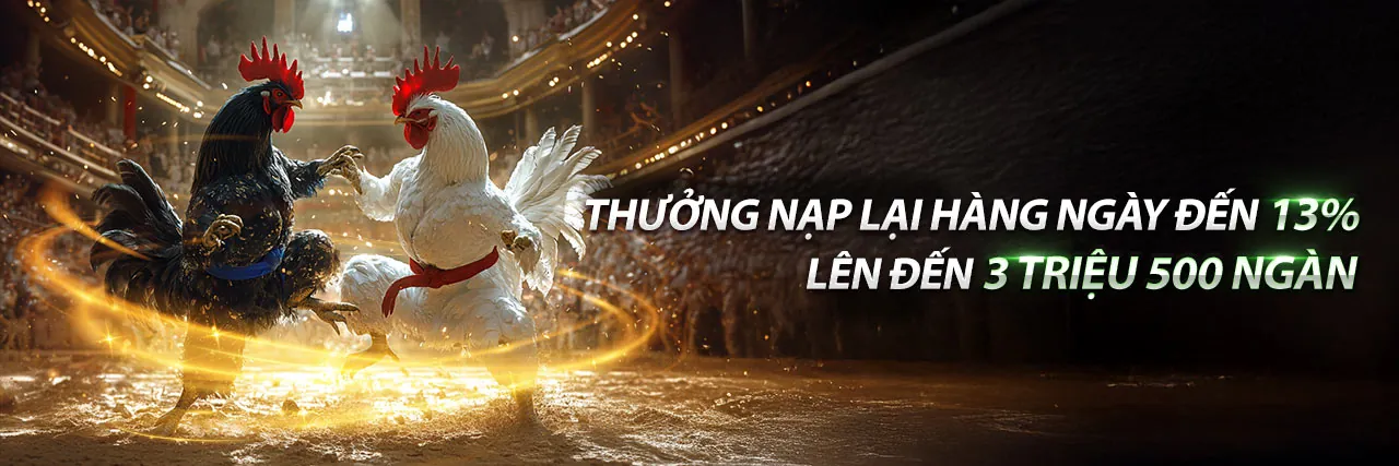 Sân vận động với ánh sáng rực rỡ, biểu tượng cho cá cược thể thao sôi động tại Benbet link vào