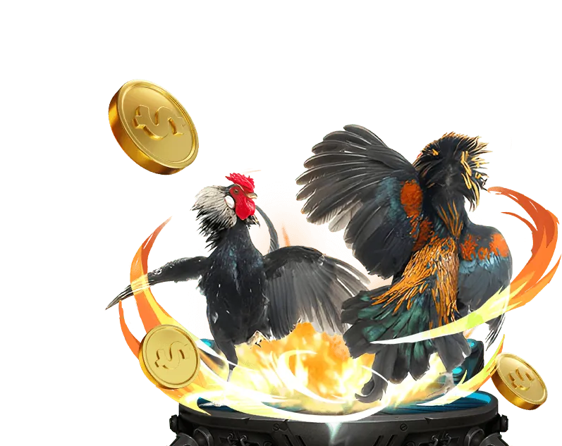 Ưu đãi hàng ngày Benbet